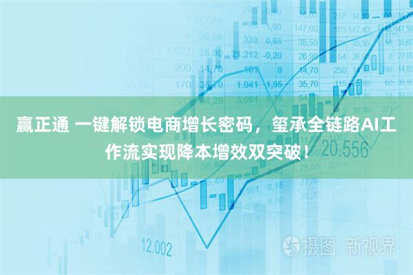 赢正通 一键解锁电商增长密码，玺承全链路AI工作流实现降本增效双突破！