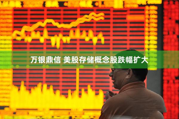 万银鼎信 美股存储概念股跌幅扩大